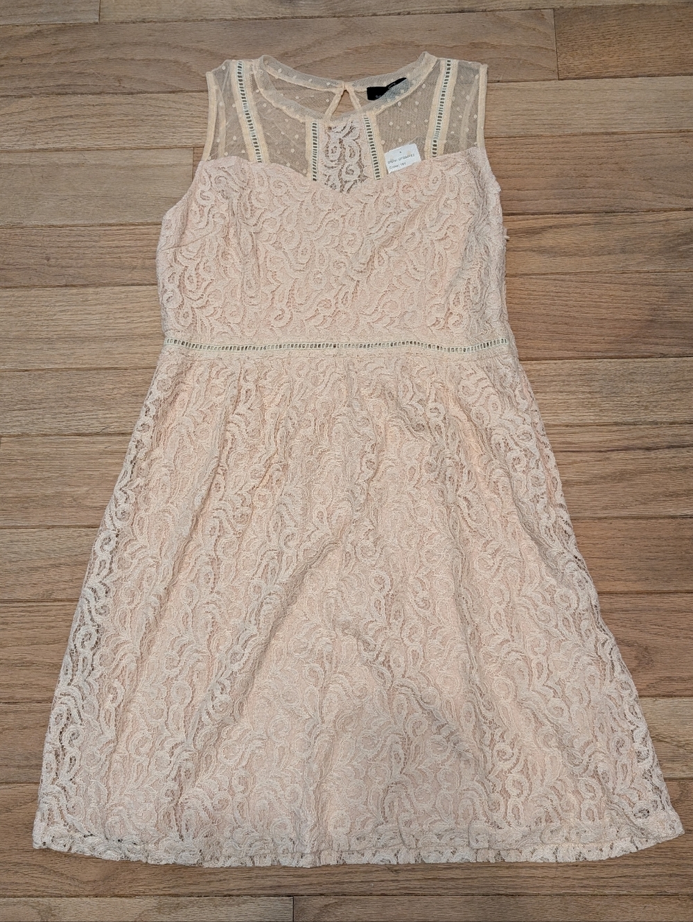 Nwt Women's Suzanne Betro Sleeveless Blush Lace A-Line Dress Size Large